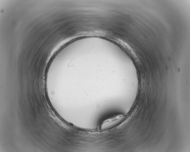 X0000085211184200704091858