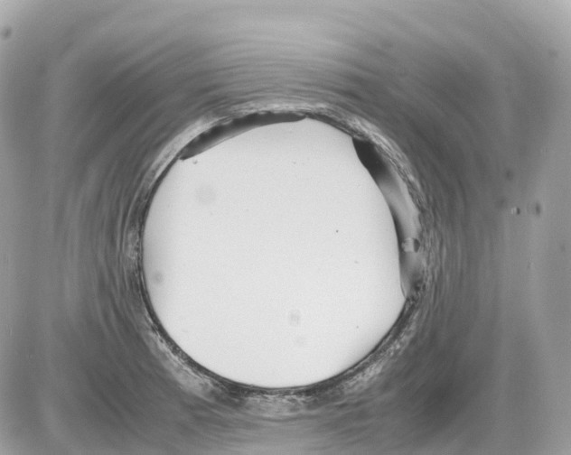 X0000085211185200704091858