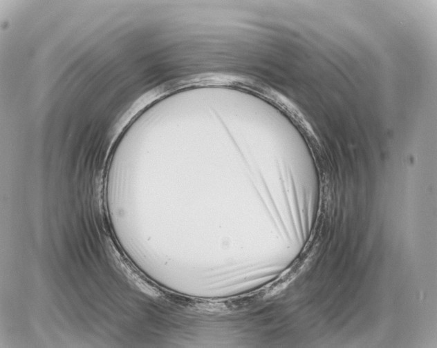 X0000085211186200704091858