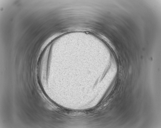 X0000085211187200704091858