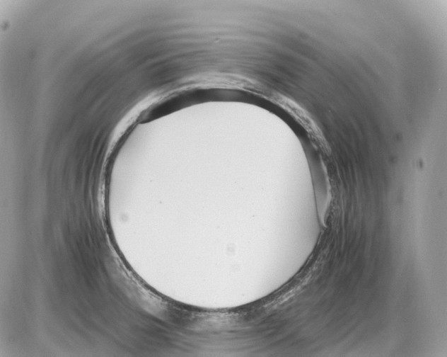 X0000085211188200704091858