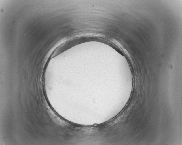 X0000085211189200704091858