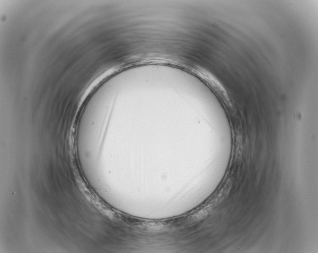 X0000085211190200704091858