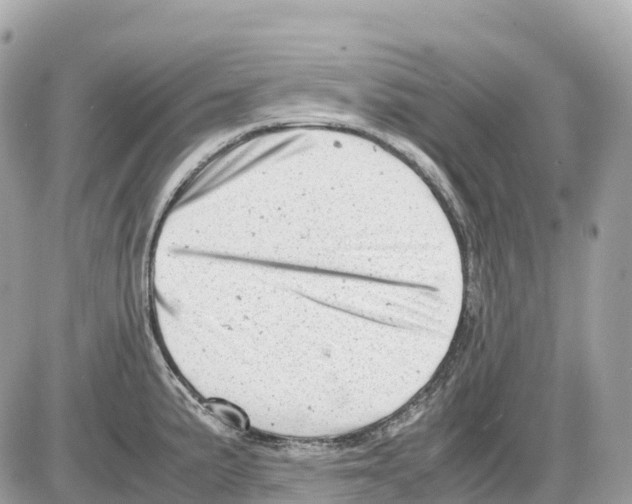 X0000085211191200704091858