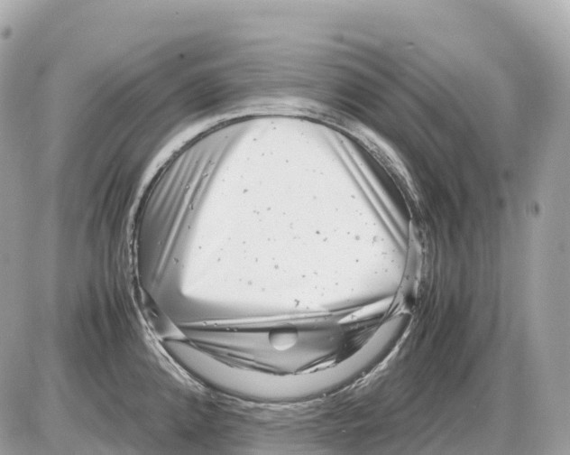 X0000085211192200704091858