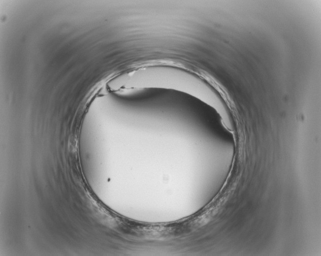 X0000085211193200704091858