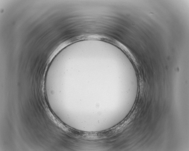 X0000085211194200704091858