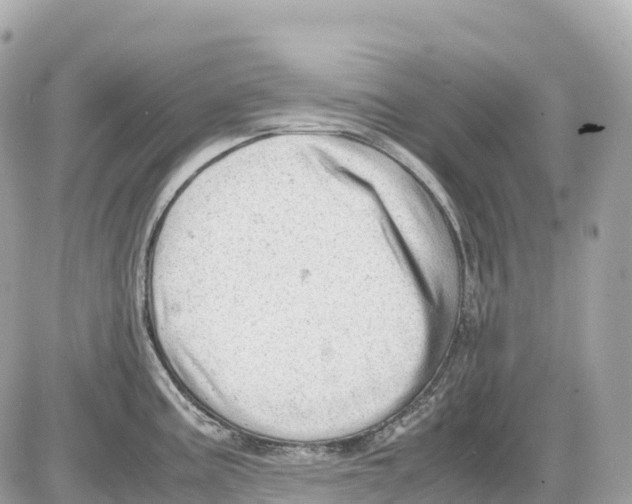 X0000085211195200704091858