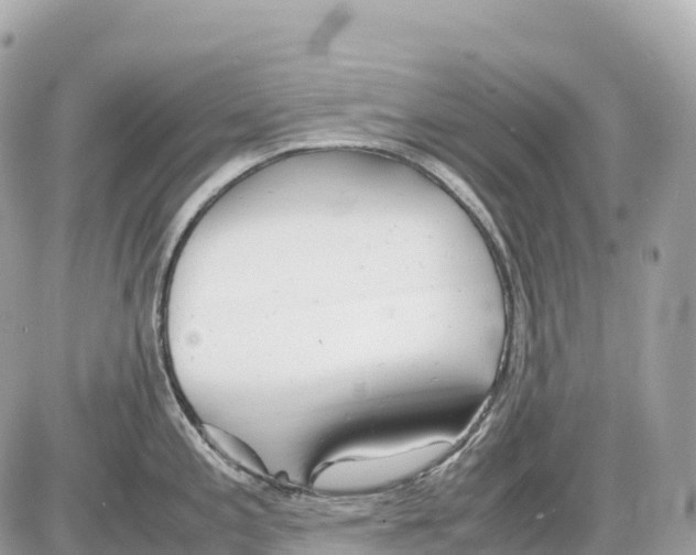 X0000085211197200704091858