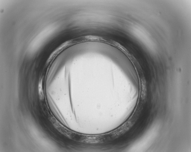 X0000085211198200704091858