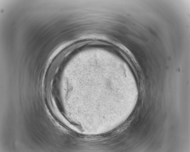 X0000085211199200704091858