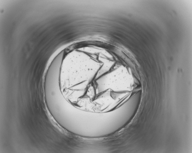 X0000085211200200704091858