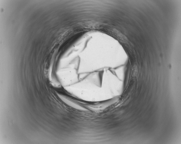 X0000085211202200704091857