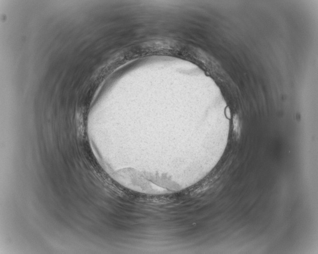 X0000085211203200704091857