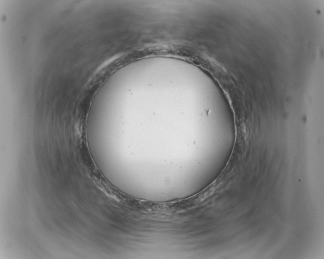 X0000085211206200704091857