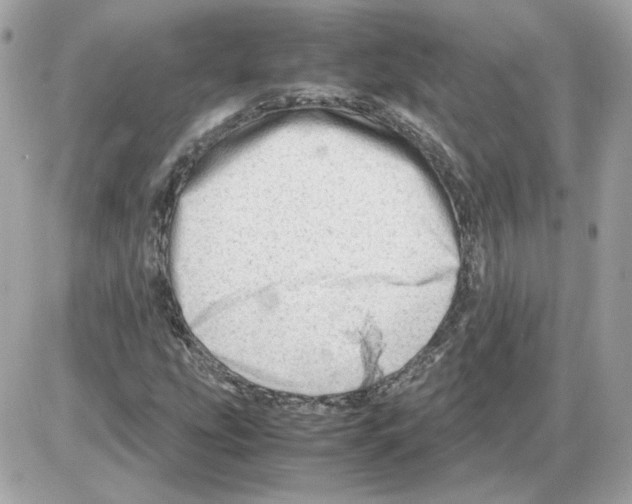 X0000085211207200704091857