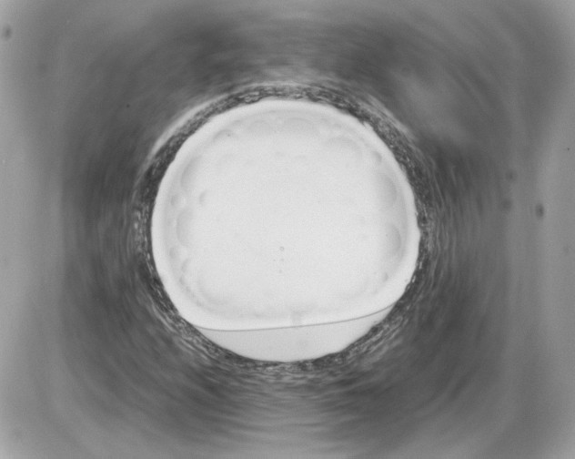 X0000085211208200704091857