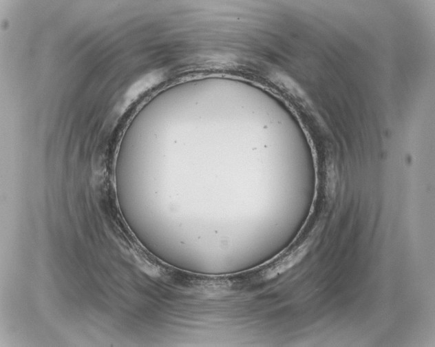 X0000085211210200704091857