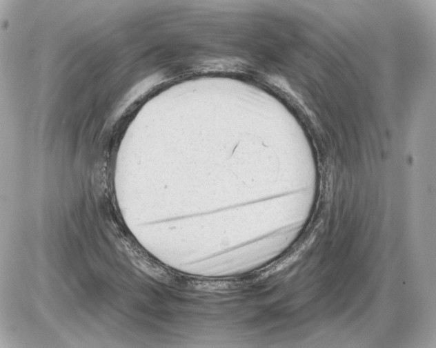 X0000085211211200704091858