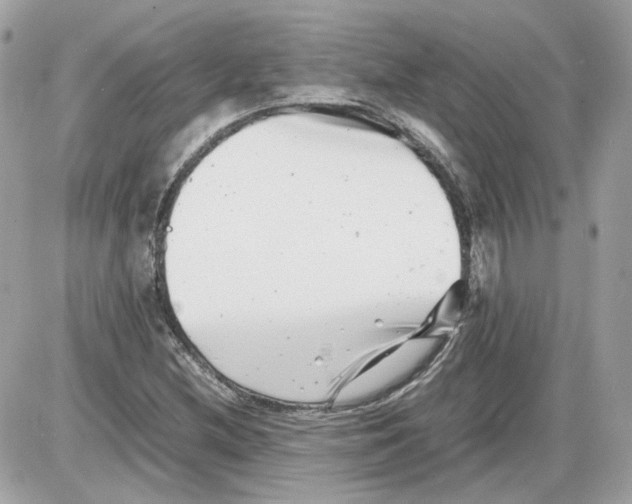 X0000085211212200704091858