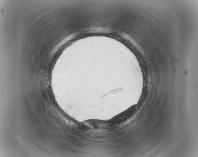 X0000085211213200704091858