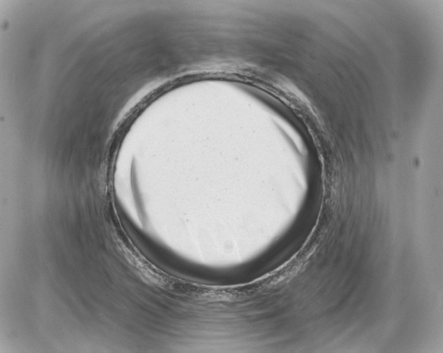 X0000085211216200704091858