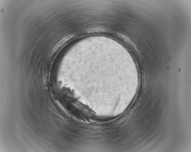 X0000085211217200704091858