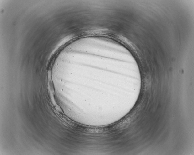 X0000085211219200704091858