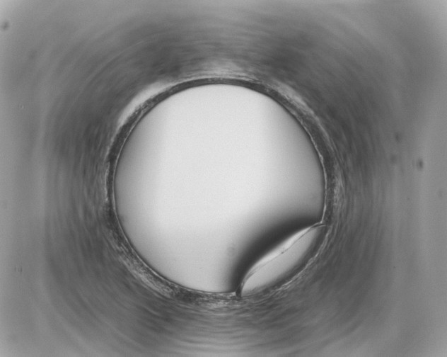 X0000085211222200704091858