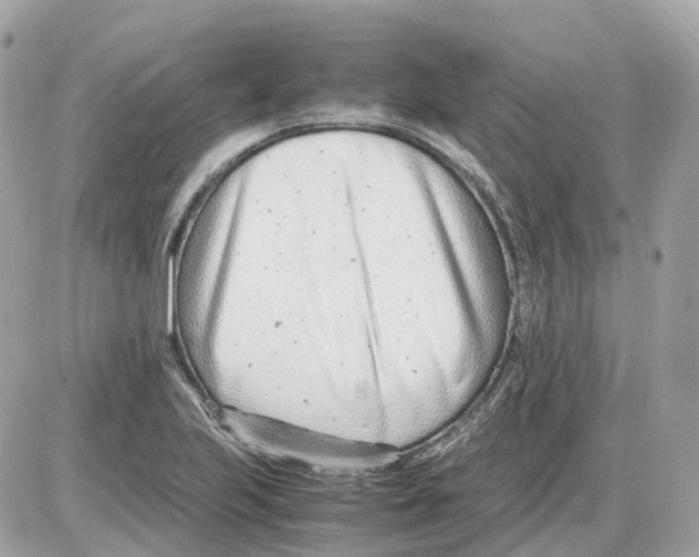 X0000085211223200704091858