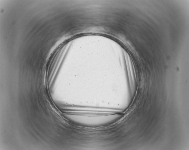 X0000085211224200704091858