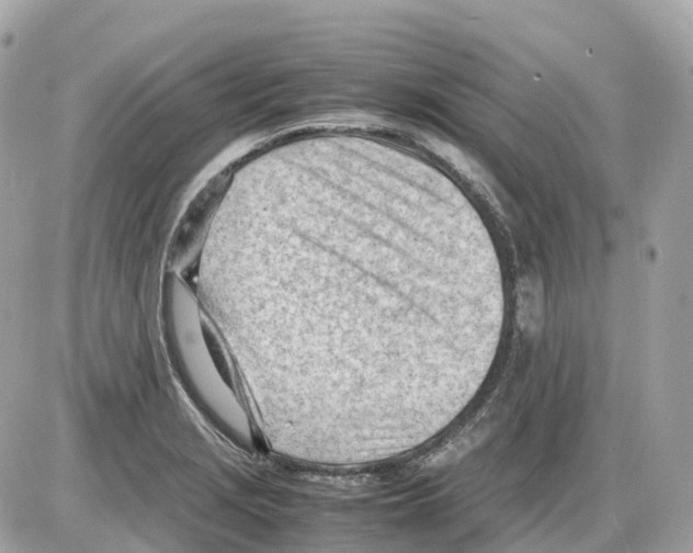 X0000085211229200704091858