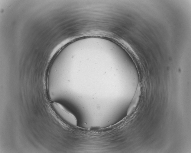 X0000085211230200704091858