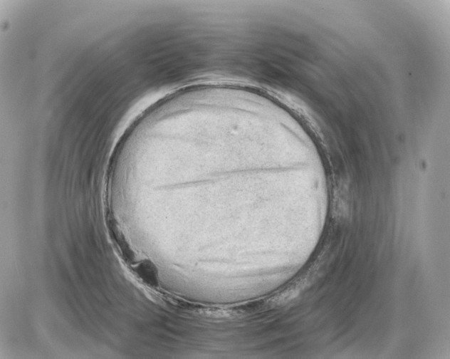 X0000085211231200704091858