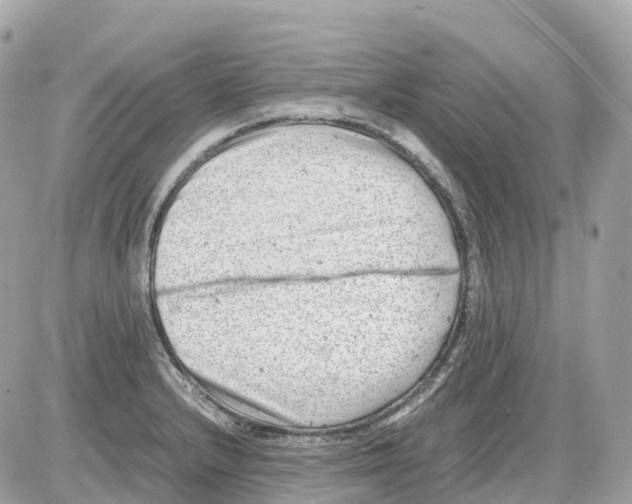 X0000085211232200704091858