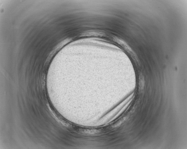 X0000085211233200704091858