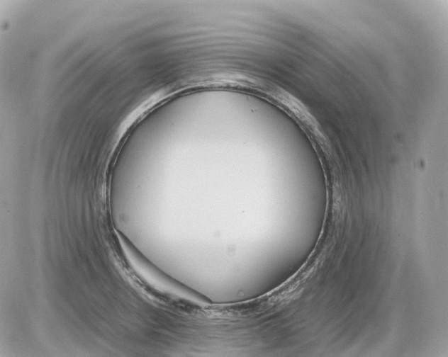 X0000085211234200704091858