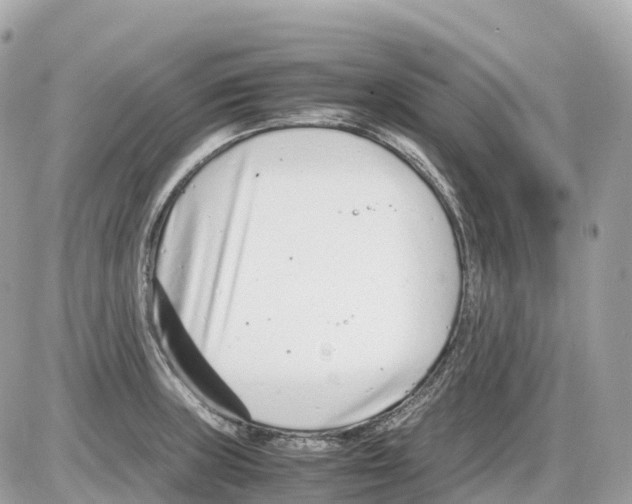 X0000085211235200704091858