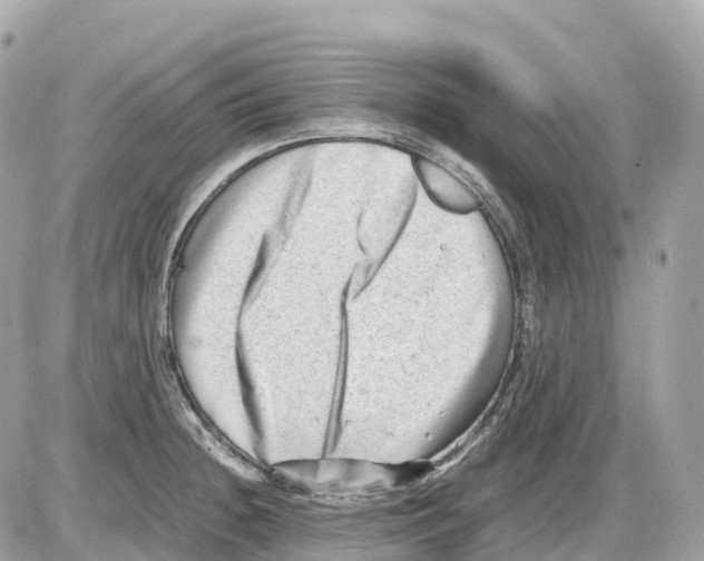 X0000085211236200704091858