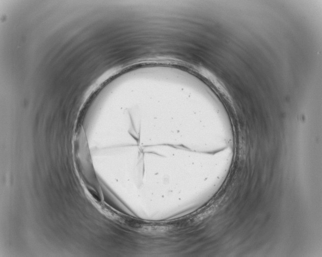 X0000085211237200704091858