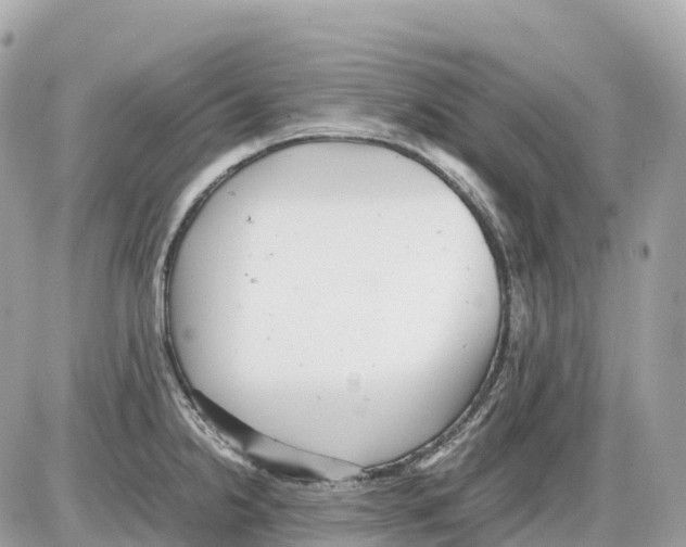 X0000085211238200704091858