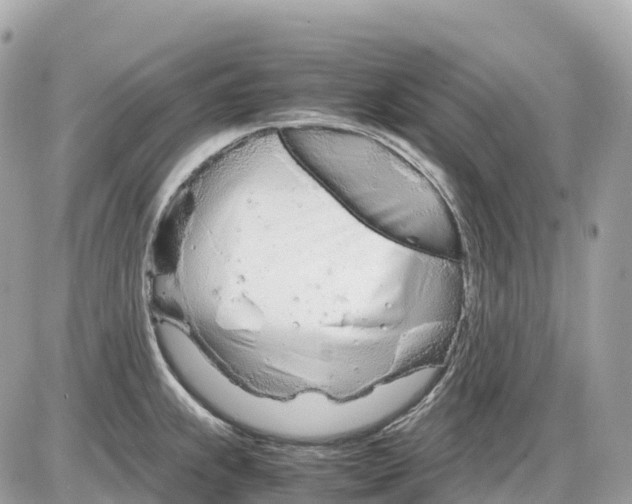 X0000085211239200704091858