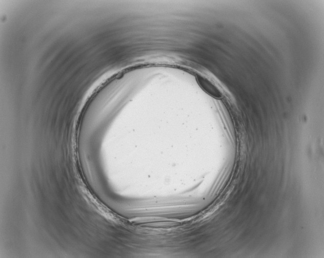 X0000085211240200704091858