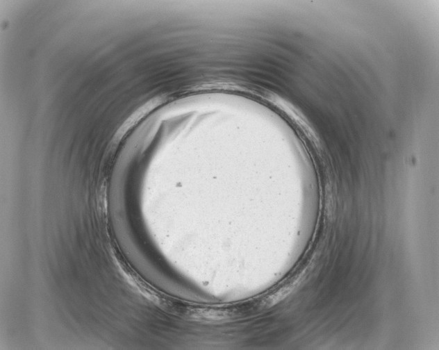 X0000085211241200704091858