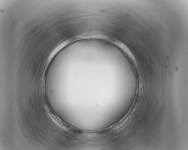 X0000085211242200704091858