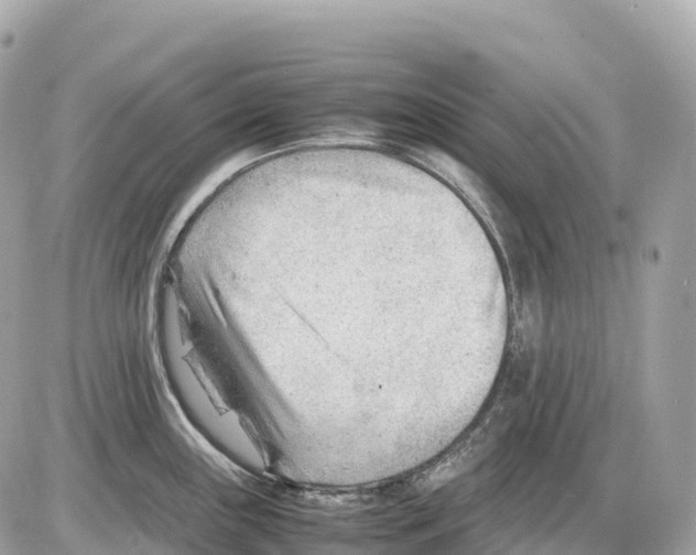 X0000085211243200704091858