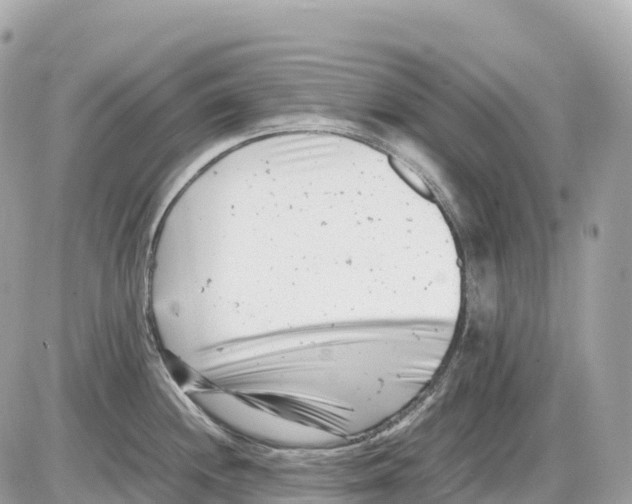 X0000085211244200704091858