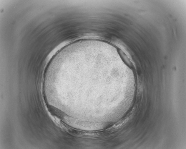 X0000085211245200704091858