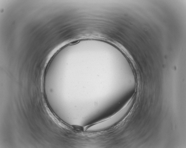 X0000085211246200704091858