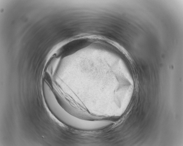 X0000085211247200704091858